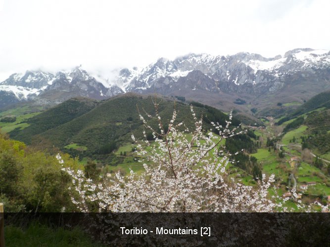 Toribio - Mountains [2].
