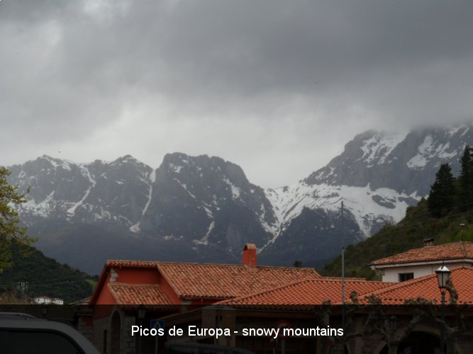 Picos de Europa - snowy mountains.